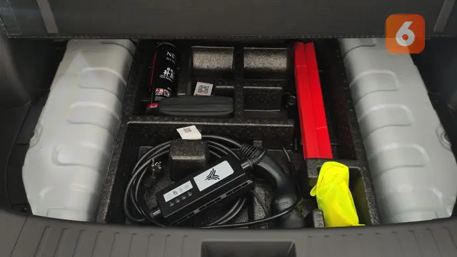 Neta V-II