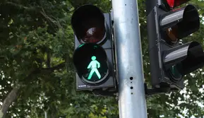 Penganut Teori Konspirasi Sebut Lampu Lalu Lintas Bisa Membunuh Manusia