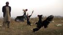 Seorang pria menyaksikan pertandingan sabung ayam di pinggiran Islamabad, Pakistan, 15 Desember 2021. Pakistan terkenal memiliki jenis ayam petarung paling tua di dunia dengan kekuatan fisik dan mental bertarungnya. (AP Photo/Rahmat Gul)