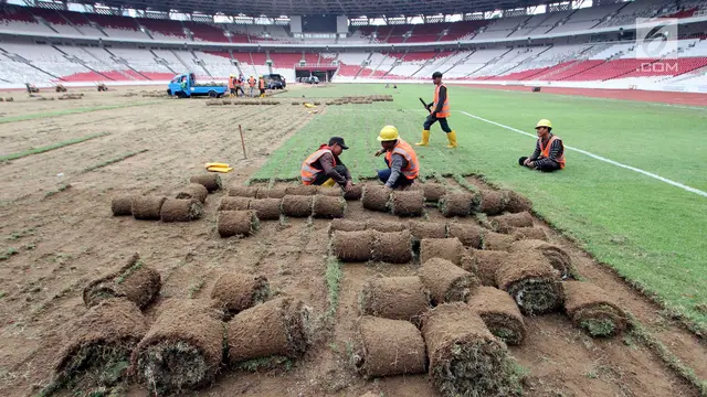 Rumput Stadion Utama Gelora Bung Karno Dipindah