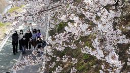 Orang-orang yang mengenakan masker sebagai tindakan pencegahan terhadap virus corona COVID-19 berpose saat mengambil gambar di bawah bunga sakura yang mekar penuh di sebuah taman di Seoul, Korea Selatan, Jumat (8/4/2022). (AP Photo/Ahn Young-joon)
