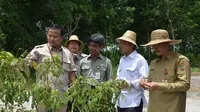 Taman Teknologi Pertanian Kalteng Curi Perhatian DPR