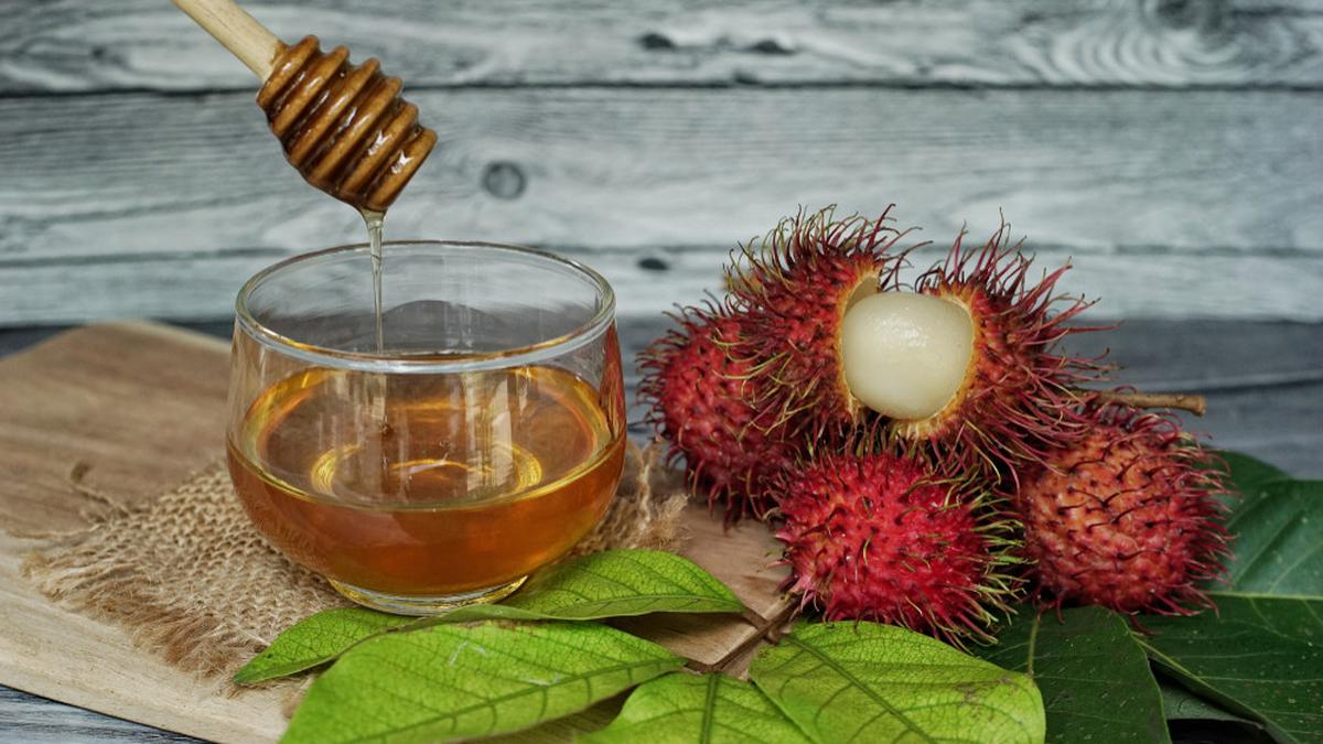 Manfaat Rebusan Daun Rambutan, Atasi Diare hingga Sakit Kepala Secara Alami