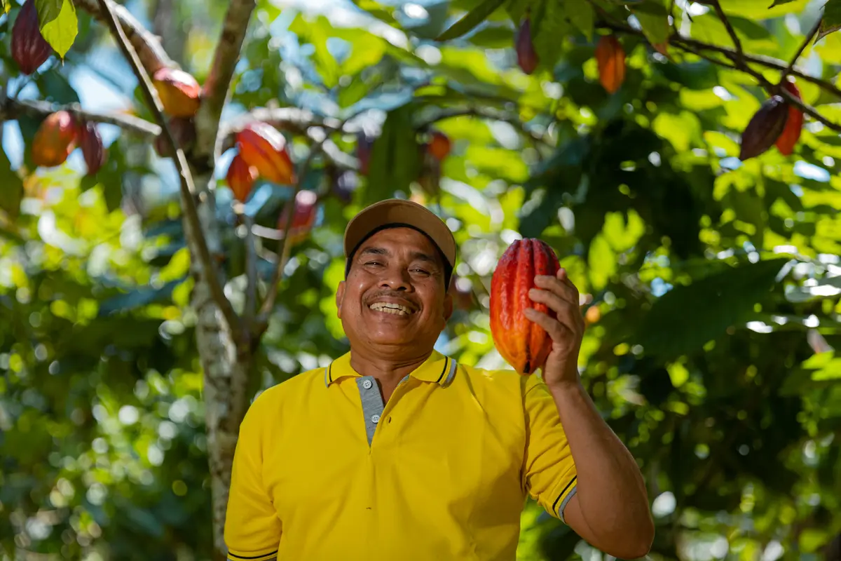 Petani cokelat di Bali/dok. Talasi