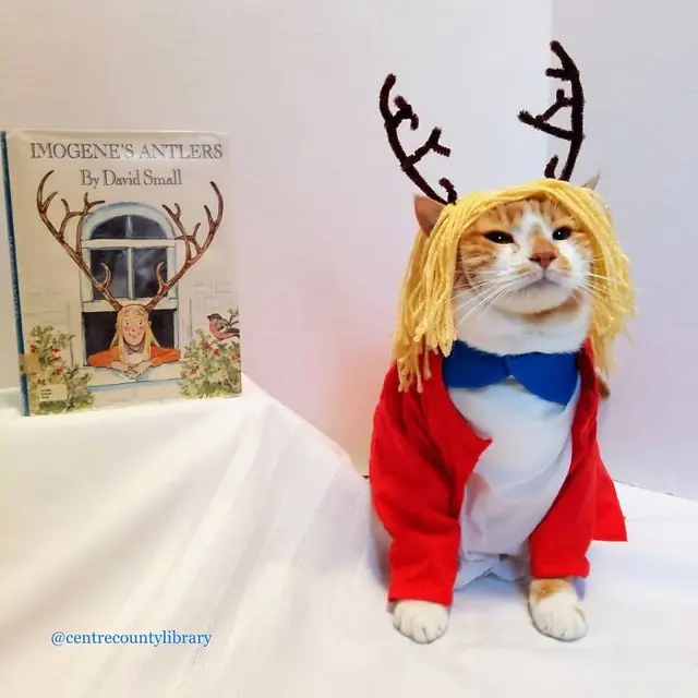 10 Potret Kucing Cosplay Sebagai Ikon Sastra dan Film Bikin Gemas
