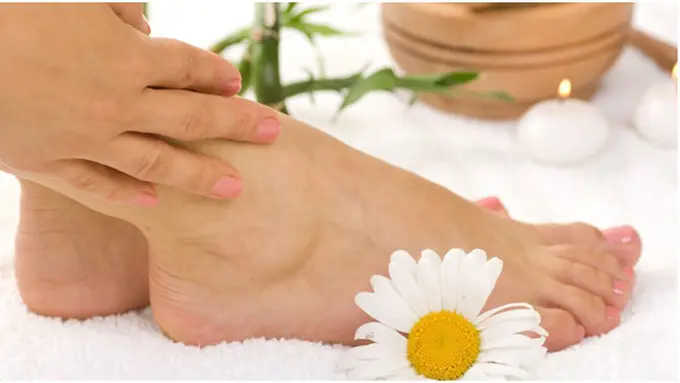 Photo copyright Shutterstock.com