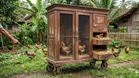 7 Kandang Ayam Portable dengan Roda dari Barang Bekas, Hemat Biaya dan Praktis