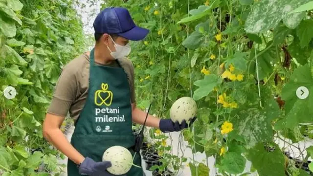 Petani Milenial