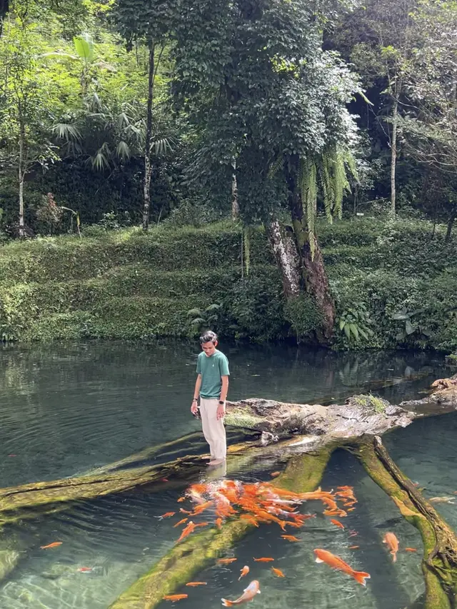 Influencer Yordhanta