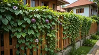 10 Jenis Tanaman Pangan yang Cocok Ditanam di Pagar Rumah Tanpa Perawatan Rumit