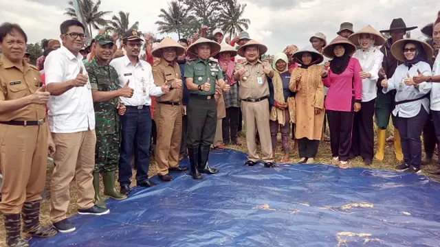 Sentra Beras Jabar Mulai Panen Raya