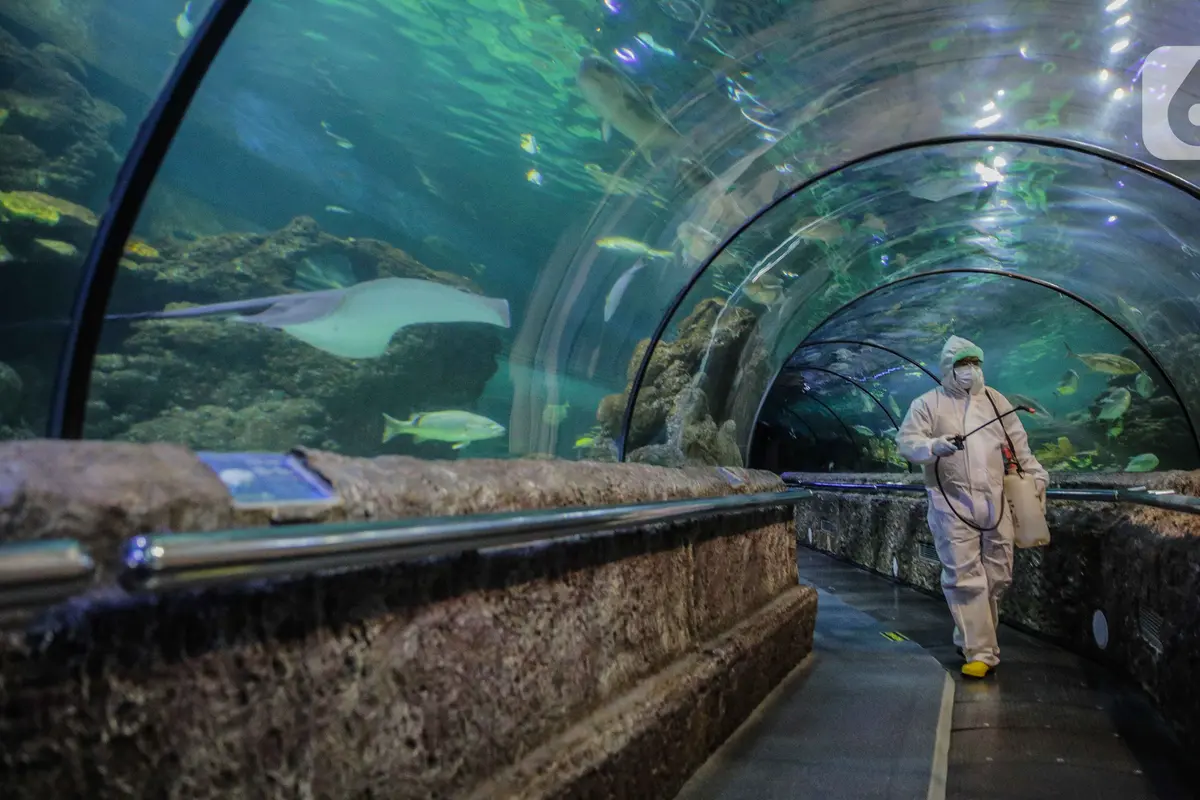 Sea World dan Ocean Samudera Disemprot Disinfektan Antisipasi COVID-19