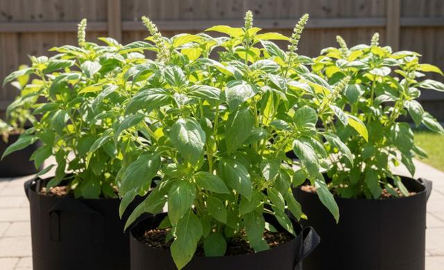 1. Kenali Komoditas Unggulanmu dan Riset Pasarnya