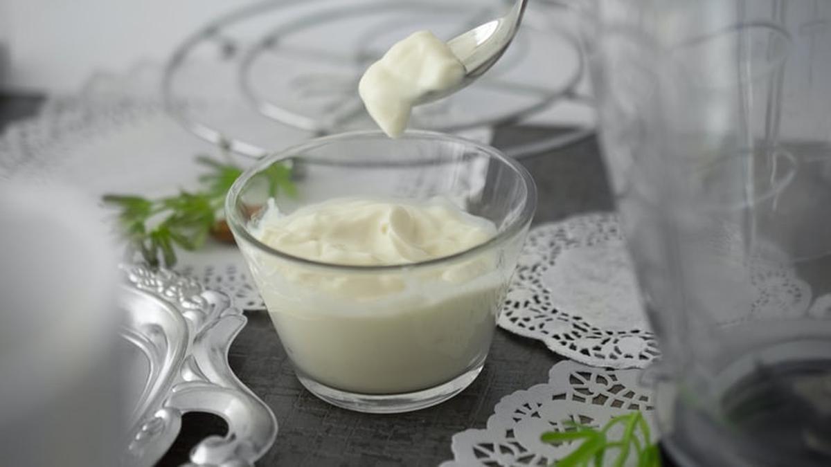 Manfaat Yogurt untuk Kesehatan: Nutrisi, Protein, dan Probiotik Alami