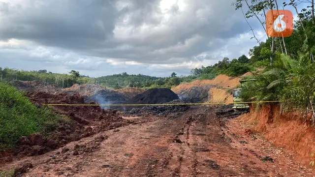 Tambang Batu Bara Ilegal