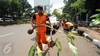 Petugas PPSU mengangkut tanaman hias yang diperdagangkan di sepanjang trotoar Jalan Asia Afrika, Jakarta, Selasa (18/5/2016). Penertiban ini terkait revitalisasi trotoar dan persiapan menyambut Asian Games 2018 mendatang. (Liputan6.com/Helmi Fithriansyah)