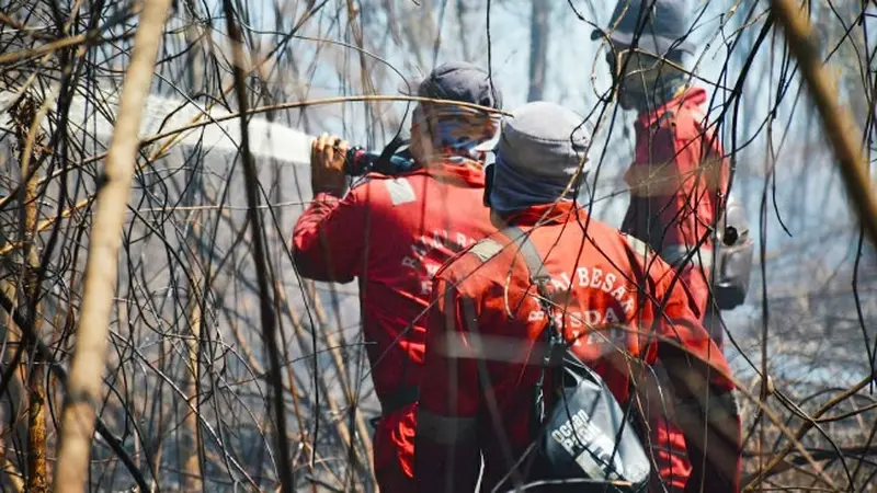 Personel BBKSDA Riau memadamkan kebakaran lahan di Giam Siak Kecil.