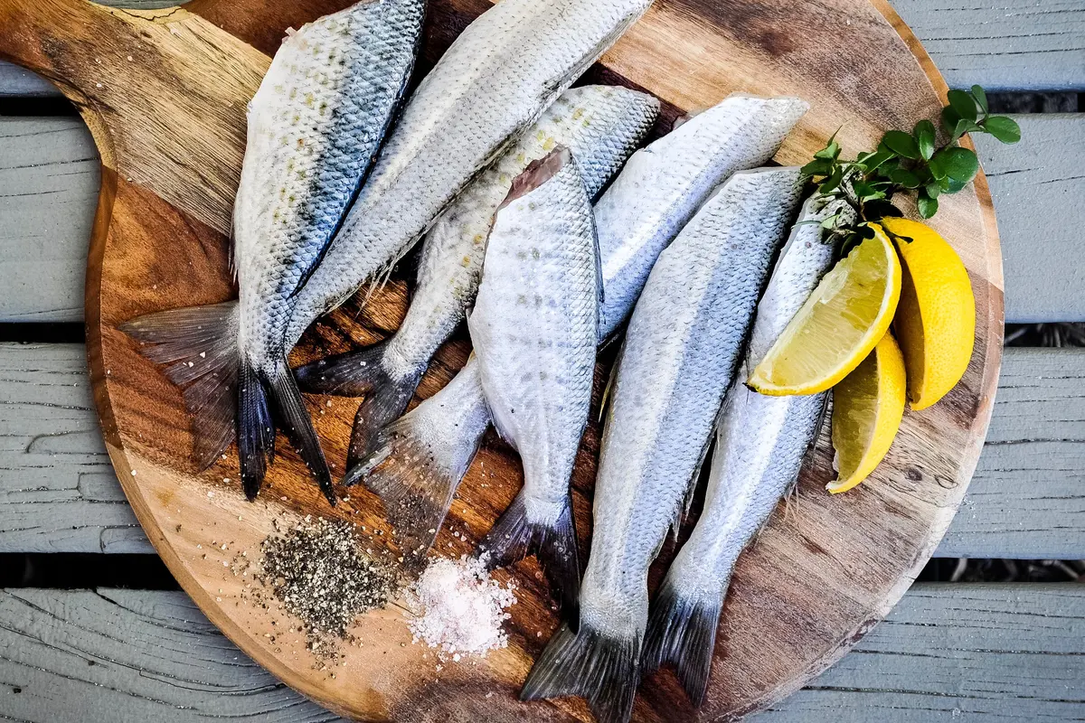 ikan