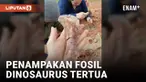 Para ilmuwan Brasil menemukan fosil dinosaurus yang diperkirakan berusia 233 juta tahun di Rio Grande do Sul. Fosil ini ditemukan setelah hujan deras mempercepat erosi alami. Menurut Rodrigo Temp Müller, paleontolog yang memimpin tim dari Universita...