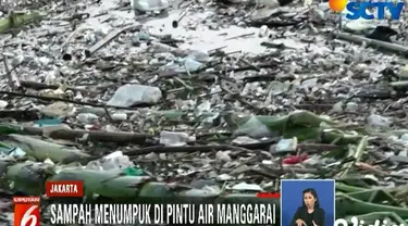 Sampah-sampah ini terbawa arus melalui luapan Sungai Ciliwung setelah hujan deras yang mengguyur kawasan hulunya di Bogor.