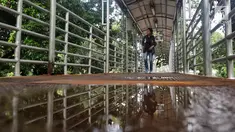 Pejalan kaki menyebrang di JPO Medan Merdeka Barat yang atapnya rusak di Jakarta, Jumat (19/1). Kondisi JPO yang penuh dengan genangan air dan atap yang rusak mengurangi kenyamanan bagi para pejalan kaki yang menggunakannya. (Liputan6.com/Johan Tallo)