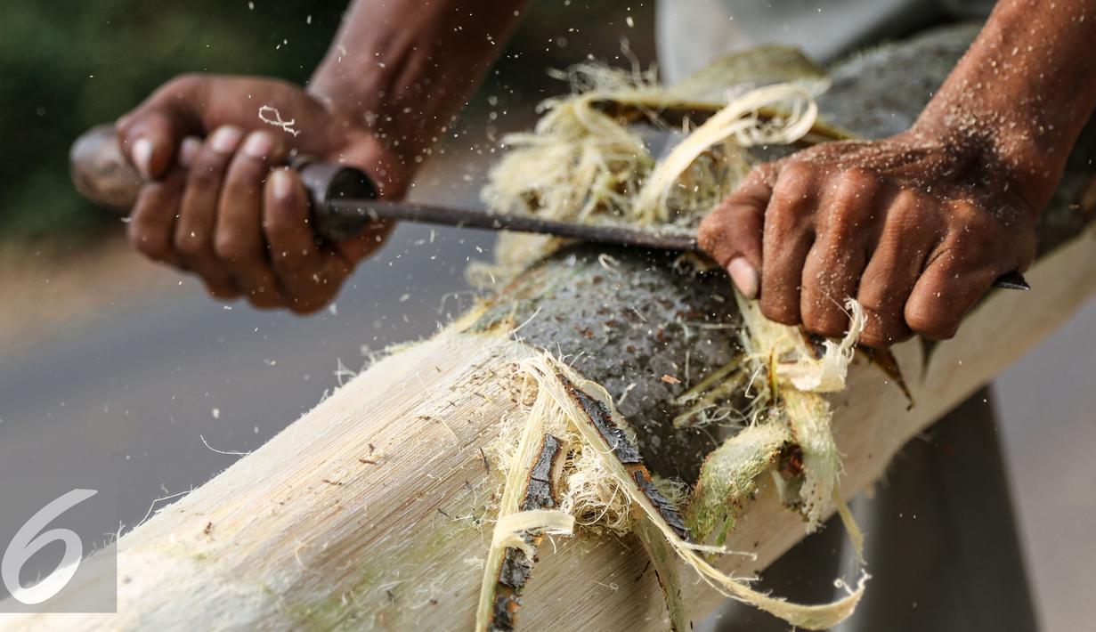 Seorang pengrajin menyerut pohon Pinang di kawasan Manggarai, Jakarta, Senin (10/8/2015). Jelang HUT Kemerdekaan RI  permintaan Pohon Pinang meningkat dengan nilai jual berkisar Rp 900 ribu- Rp 1 juta. (Liputan6.com/Yoppy Renato)
