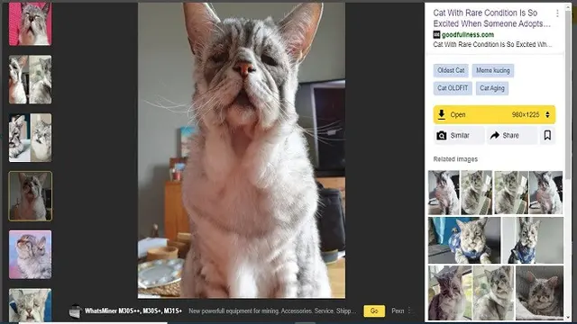 Gambar Tangkapan Layar Penelusuran Foto Menggunakan Situs Yandex.