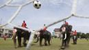 Sejumlah gajah bermain sepak bola dengan badan dilukis bendera peserta Piala Dunia 2018 di Ayutthaya, Selasa (12/6/2018). Kegiatan yang dilakukan Sekolah Ayutthaya Wittayalai ini dilakukan untuk memeriahkan Piala Dunia. (AP/Sakchai Lalit)