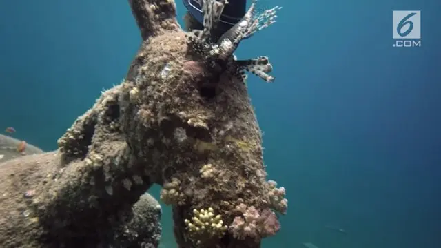 Seorang penyelam menemukan patung keledai di perairan laut merah, Mesir.