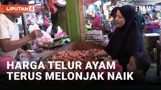 Pembeli Teriak Pusing Harga Telur Ayam Tembus Rp32 Ribu Per Kilogramnya