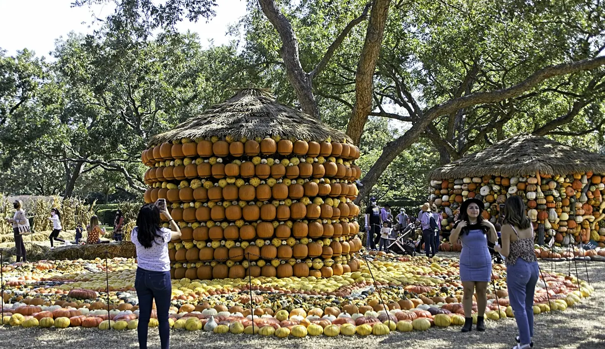 Orang-orang berfoto di depan rumah labu di Desa Labu Dallas Arboretum, Texas, Amerika Serikat, 4 Oktober 2020. Desa Labu di Dallas Arboretum yang mendapat pengakuan nasional menghadirkan rumah-rumah labu dan berbagai objek kreatif dari 90.000 lebih labu, kundur, dan squash. (Xinhua/Dan Tian)