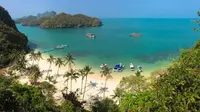 Jasad Turis Dimangsa Kadal Raksasa di 'Pulau Kematian' Thailand
