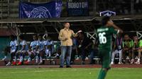 Pelatih Persib Bandung, Dejan Antonic pada lanjutan Torabika Soccer Championship 2016 di Stadion Delta Sidoarjo, Sabtu (11/6/2016). (Bola.com/Nicklas Hanoatubun)