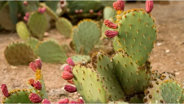 Courtesy Blogspot.com