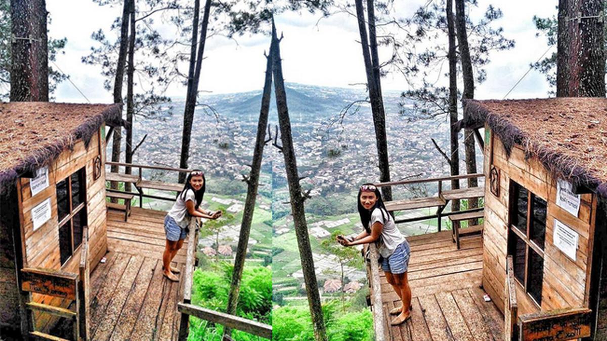 Destinasi: Omah Kayu, Keunikan Penginapan di Wisata Batu Malang - TV  Liputan6.com