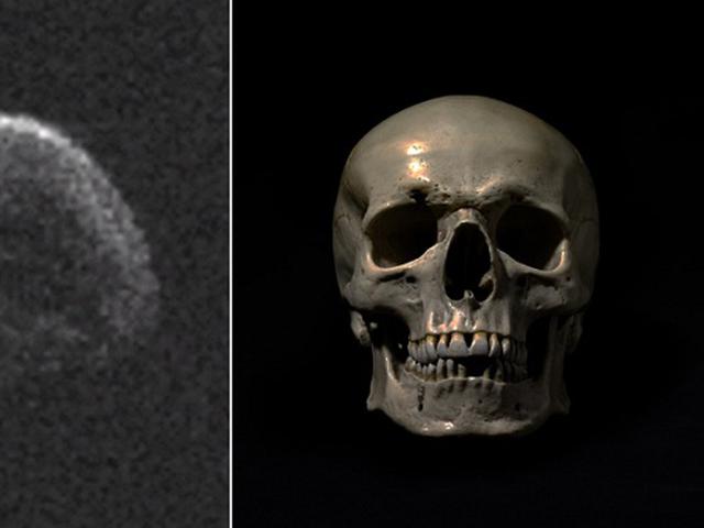 Paket Mengejutkan Isi 24 Tengkorak Kepala Manusia Regional Liputan6 Com