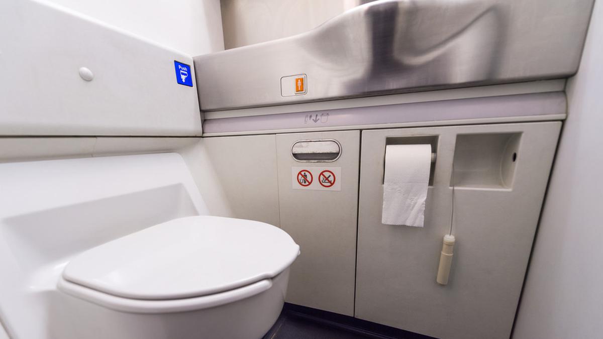 Tak Disangka, Toilet Pesawat Bisa Selamatkan Dunia dari Ancaman Superbug