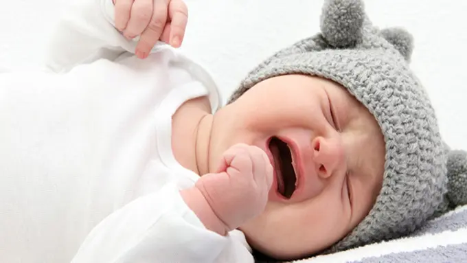 foto: copyright thinkstockphotos.com