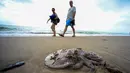 <p>Ubur-ubur Rhizostoma mati terdampar saat suhu Laut Mediterania mencapai rekor di tepi pantai Pinedo di Valencia, pada 30 Juli 2023. (AFP/Jose Jordan)</p>