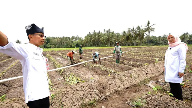 Bupati Ipuk Cek Ketersediaan Air di Kawasan Pertanian