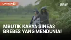 Akhirnya! Film Mbutik Karya Sineas Brebes Tayang di Bioskop Indonesia