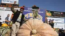 Leonardo Urena berdiri dekat labu seberat 2.175 pon miliknya dalam lomba Safeway World Championship Pumpkin Weigh-Off di Half Moon Bay, California, Amerika Serikat, Senin (14/10/2019). Urena menjadi juara dengan memboyong hadiah sebesar USD 15.225. (Justin Sullivan/Getty Images/AFP)