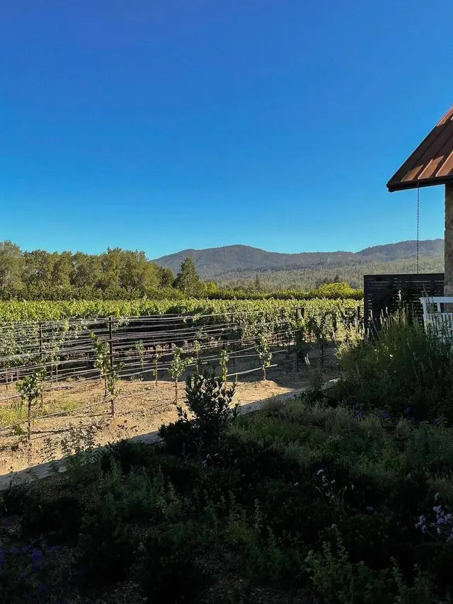 10 Gaya Kasual Nikita Willy Jalan-jalan di California, Tetap Stylish Sambil Momong Baby Izz