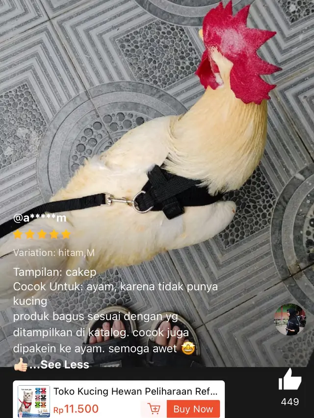 6 Ulasan tentang Aksesori Hewan di Toko Online Ini Kocak,