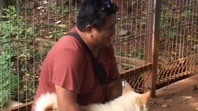 Lucunya Polah Anjing Kintamani