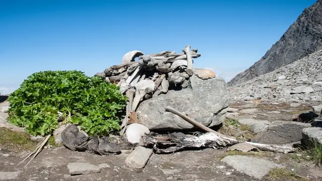 Seramnya Danau Tengkorak Roopkund di Himalaya - Citizen6 Liputan6.com