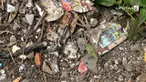 Penemuan mayat bayi di dalam kardus menggegerkan warga di Ciputat Timur, Tangerang Selatan.