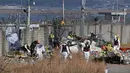 Petugas penyelamat terus berupaya mengevakuasi penumpang dari bagian belakang jet. (JUNG YEON-JE/AFP)