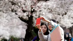 Wisatawan berswafoto dengan latar belakang bunga sakura yang bermekaran pada hari pertama musim semi di kampus Universitas Washington, Seattle, Selasa (20/3). Festival Cherry Blossom tahun ini berlangsung dari 20 Maret sampai 15 April (AP/Elaine Thompson)