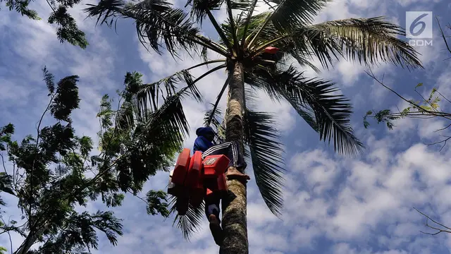 Menengok Proses Pembuatan Gula Merah di Desa Taman Jaya